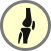 Knee icon